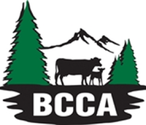 BCCA