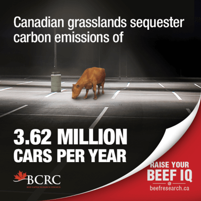 BCRC-Factoid-Carbon-Sequestration-print-letter-1