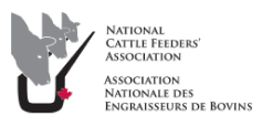 NCFA Logo