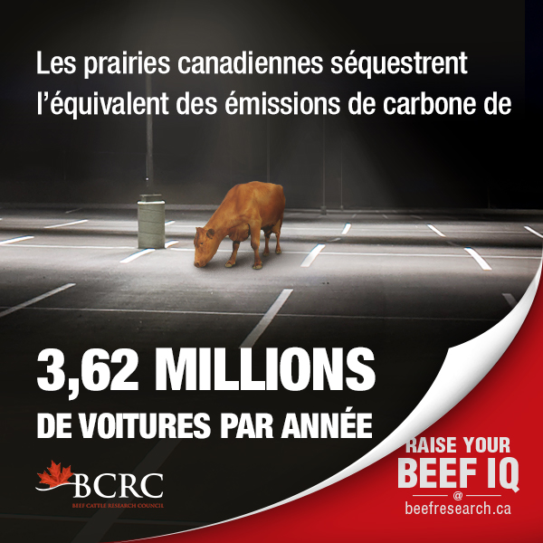 BCRC_Fact_2_Carbon_Sequestration_French